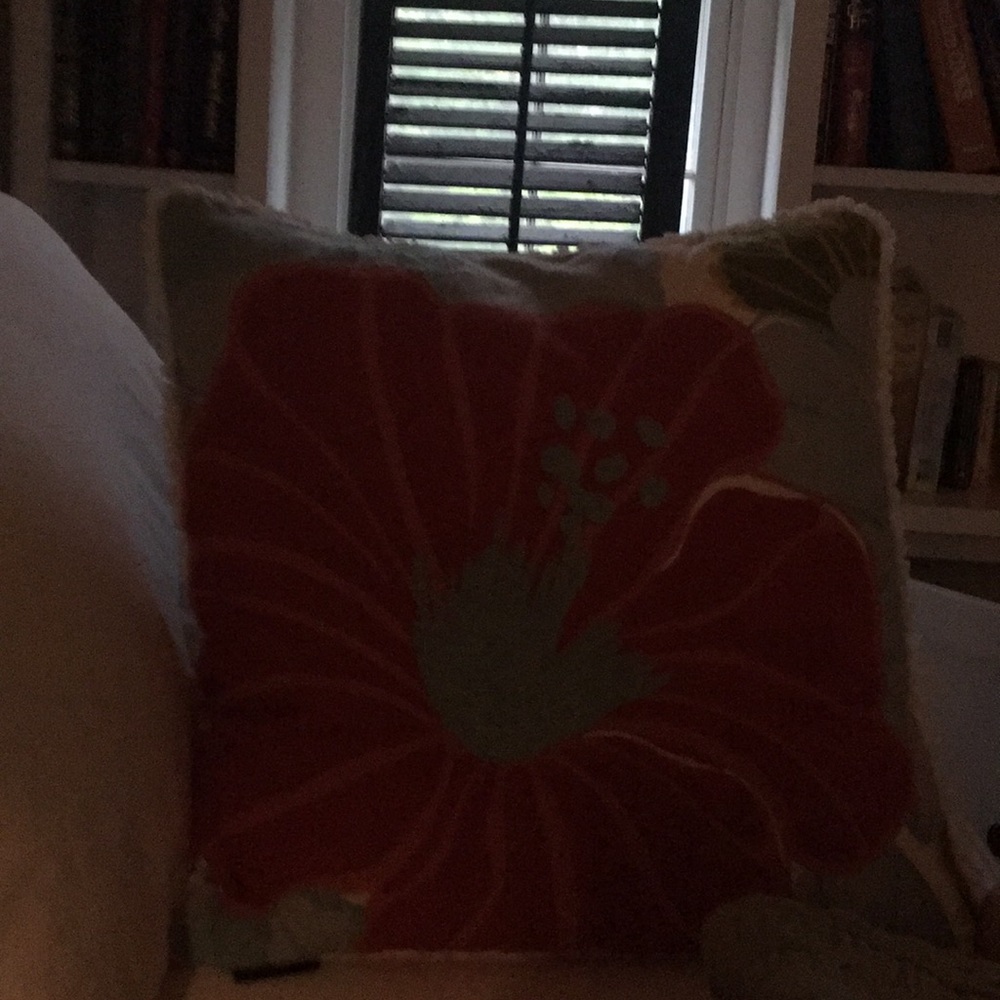 Meet your Posher, Betsy